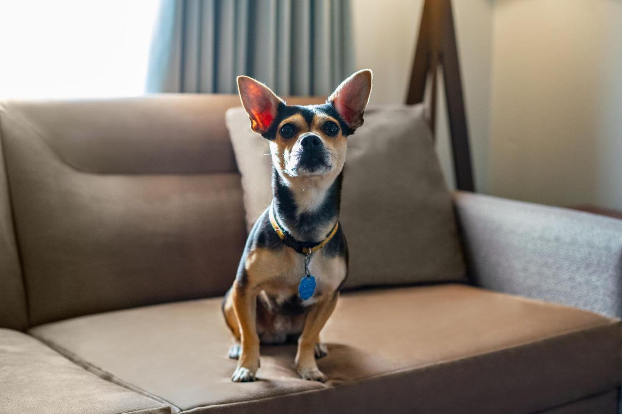 Residence Inn Lexington North Bagian luar foto